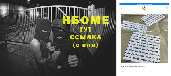 индика Няндома