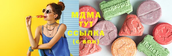 индика Няндома