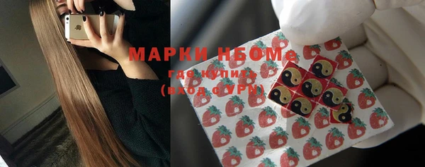 индика Няндома