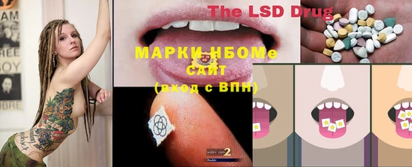 герыч Новозыбков