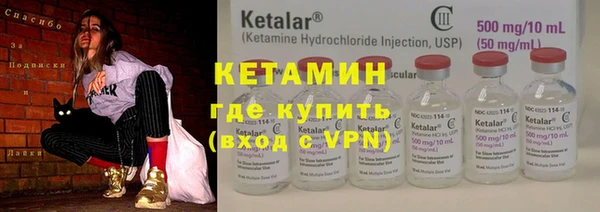 индика Няндома