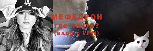 индика Няндома