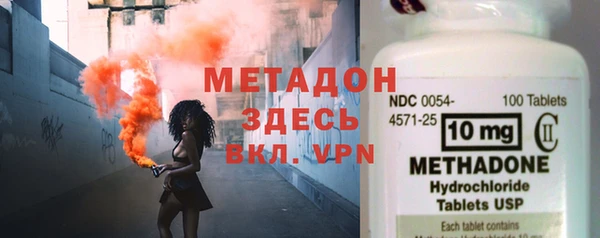 индика Няндома