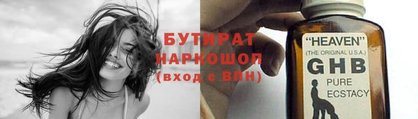 индика Няндома