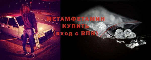 индика Няндома