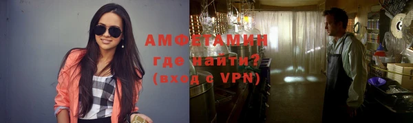 индика Няндома