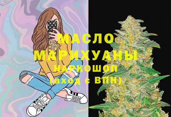 индика Няндома