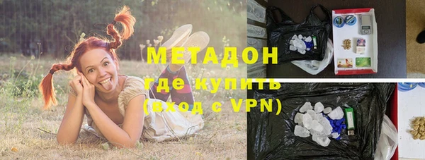 индика Няндома