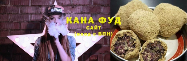 индика Няндома