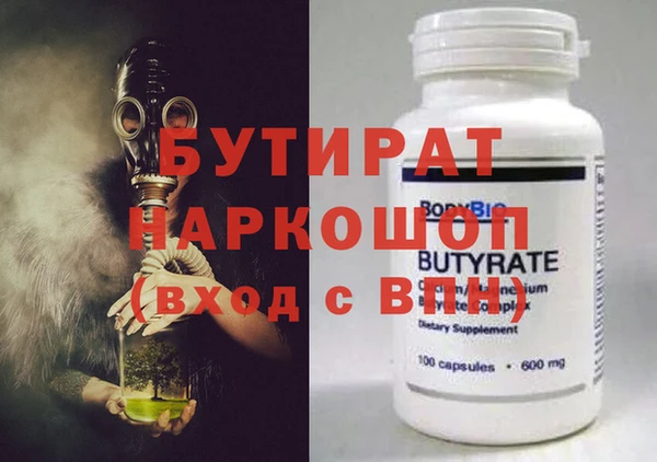 индика Няндома