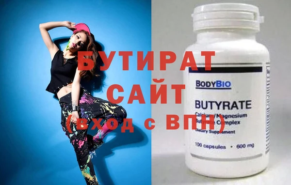 индика Няндома