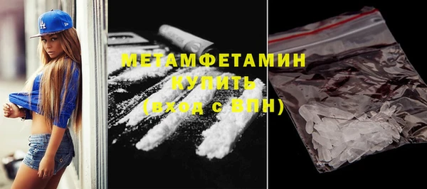 индика Няндома