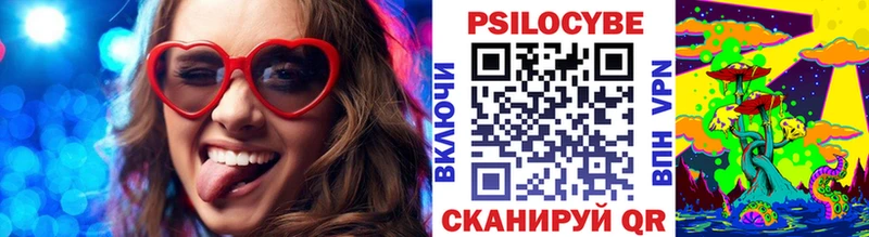 Псилоцибиновые грибы GOLDEN TEACHER  купить закладку  Почеп 
