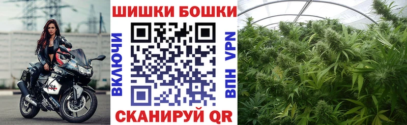 Бошки Шишки Amnesia  Почеп 